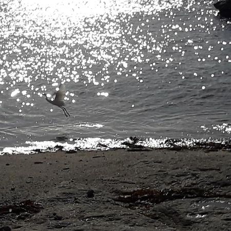 Appartement Proche De La Mer Guilvinec Εξωτερικό φωτογραφία